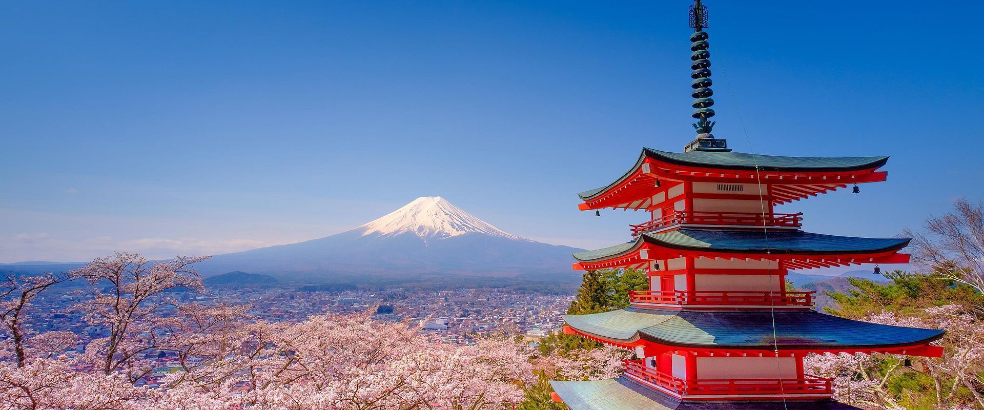 2028年、待望の日本発着クルーズ